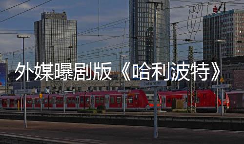 版波特惊了D幕哈利指标内普选黑人内人斯曝剧是为外媒